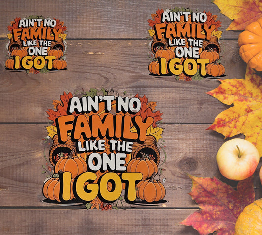 Ain't No Family Like the One I Got (DTF)