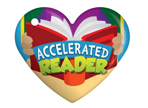 Media Specialist Raglan