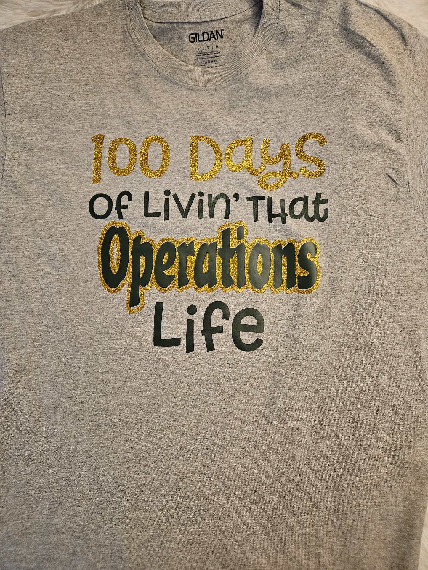 100 Days of Livin that Life