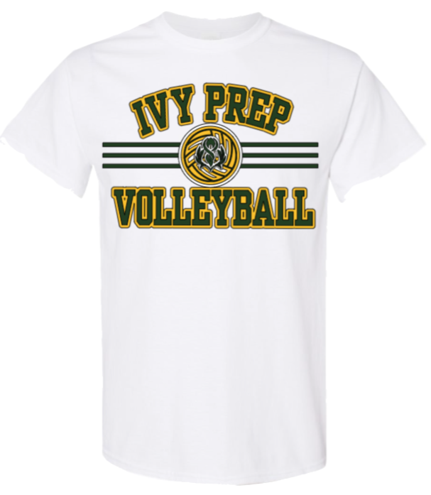 Volleyball T-shirts (Gray/White Designs 3 & 4)