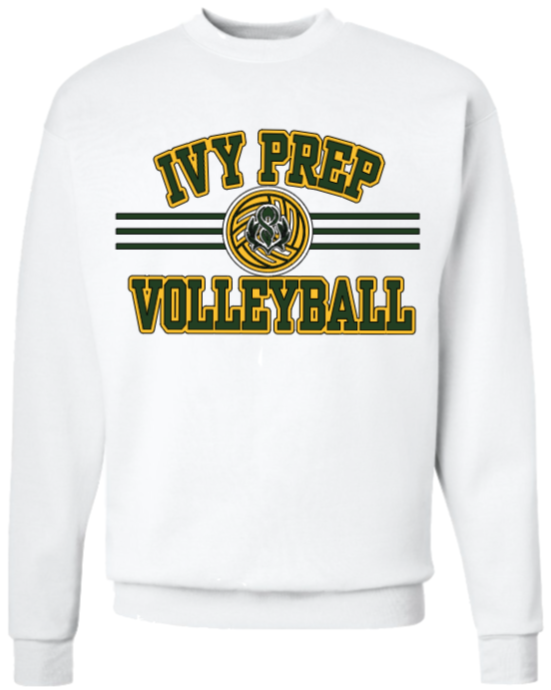 Volleyball Fleece (Gray/White Designs 3 & 4)